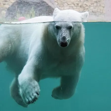 Tanuma Διαμέρισμα Ταλίν